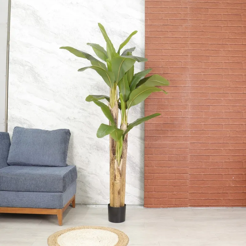 Faux Realtouch Banana Plant With Black Fiber Pot - 5.9 Feet media 3