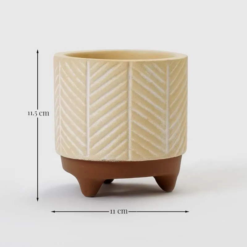 Stylish Beige Terracotta Planter Pot with Raised Pattern media 4