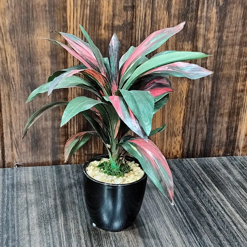 Faux Dracaena Bonsai (24 cms) - Red media 2