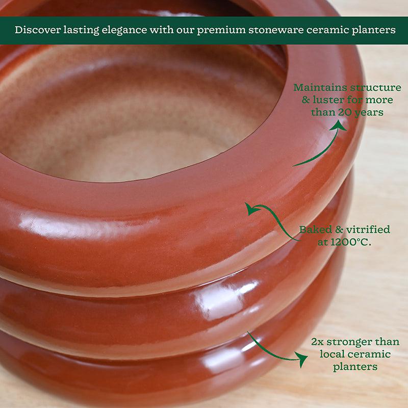 Ugaoo Ceramicurve Three Layer Ceramic Planter - Terracotta media 5