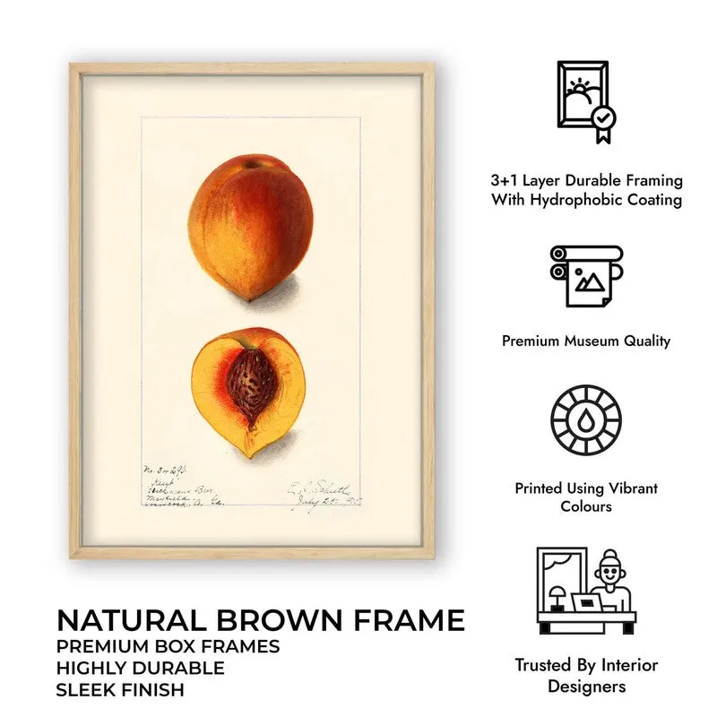 FruitAura Archival Canvas Wall Art - Brown media 11