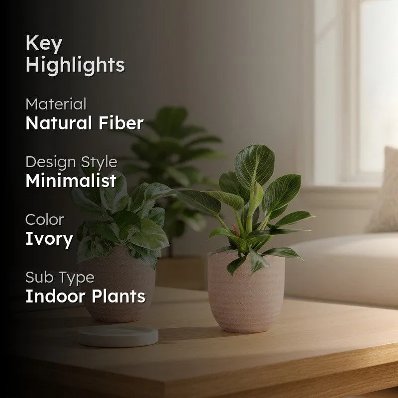 Greenkin Birkin & Njoy Live Plants (Ivory) - Set Of Two media 2