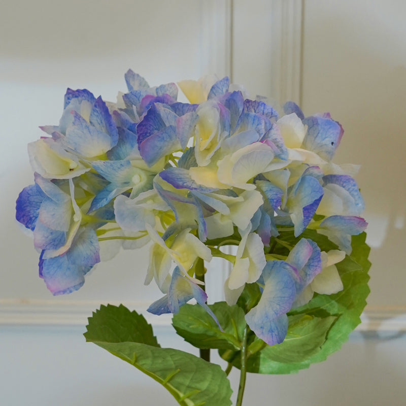 Faux Mountain Hydrangea (Blue) - 21 CM media 4