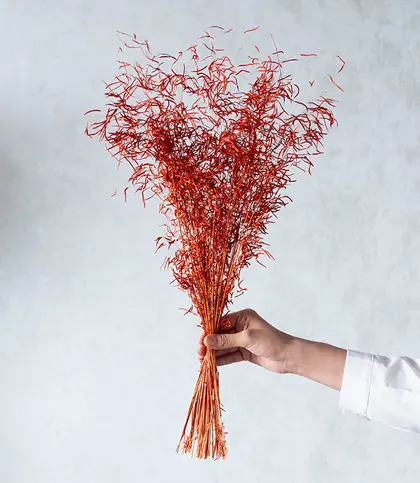 Dried Flowers & Leaves