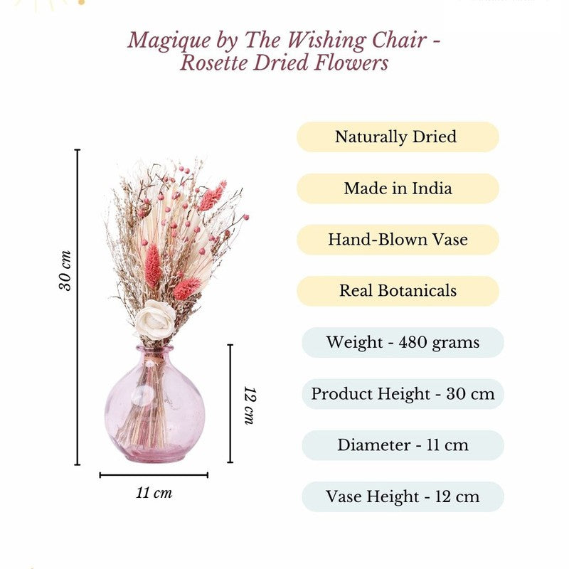 Magique by The Wishing Chair Rosette Dried Flowers with Vase media 8