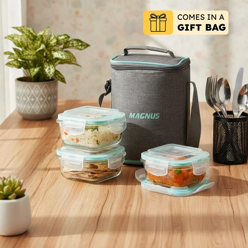 Packly Simple Lunch Box with Lunch Bag - Four Piece Set - 320 ML