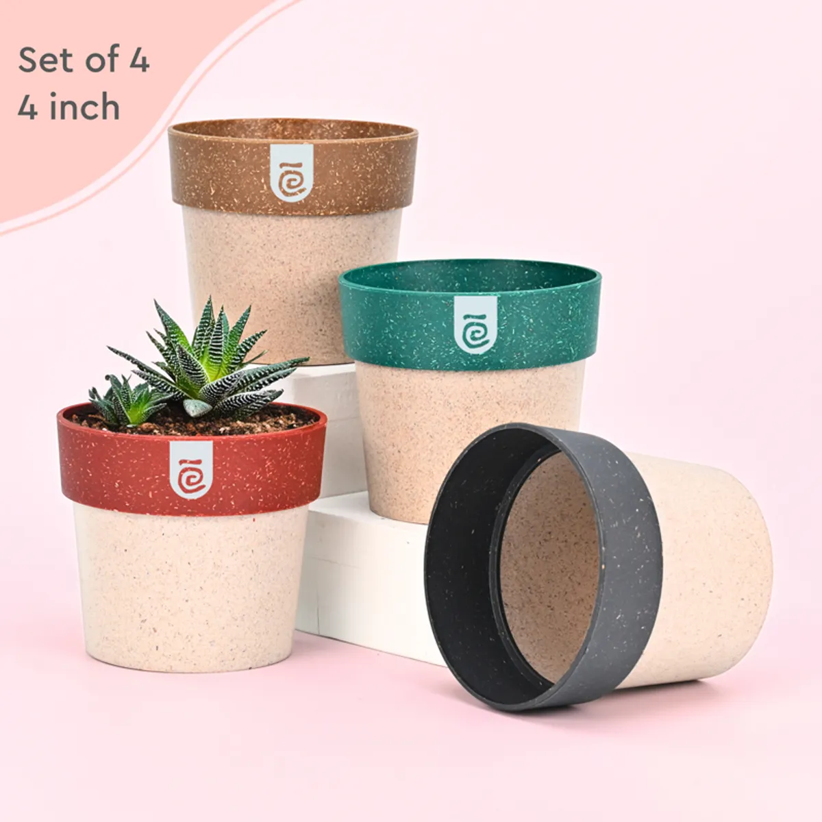 Set of four small multicolour planters with speckled finish on display blocks