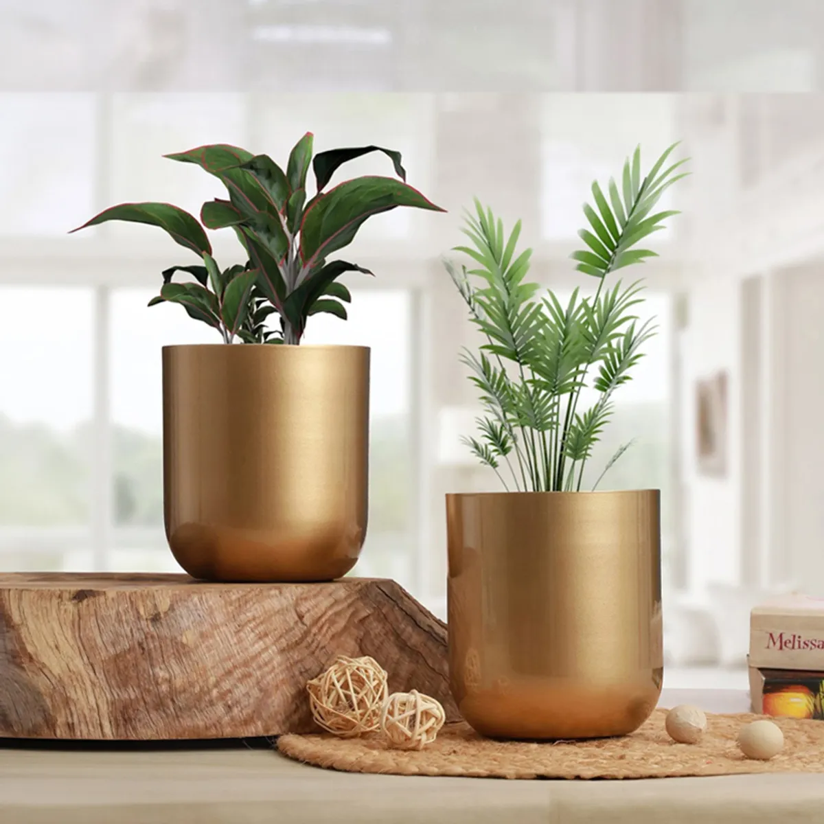 Two glossy gold planters displayed with leafy green plants