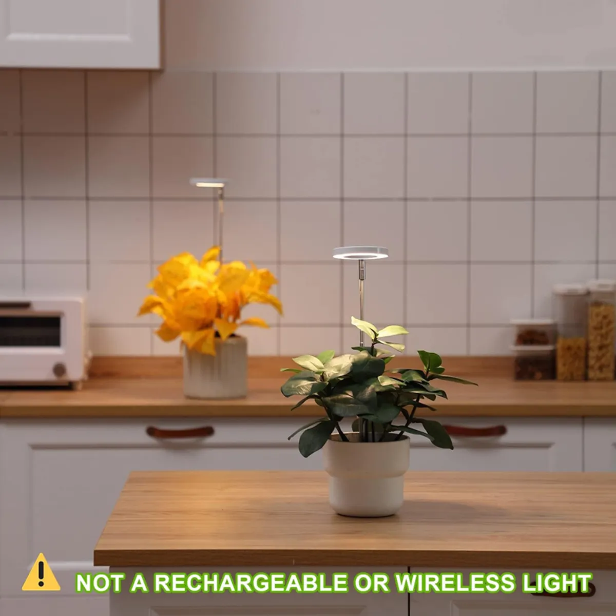 White grow light illuminating a potted plant on a kitchen island