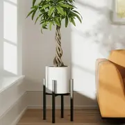 Plant Stand category