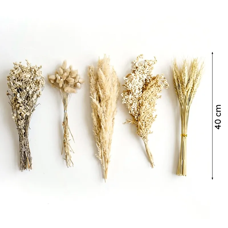 Five beige dried flower arrangements shown with a 40 cm height indicator.