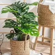 Artificial Plants & Flowers category