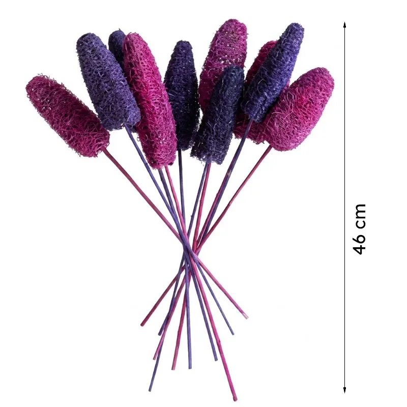Set of pink and purple dried luffah stems on a white background