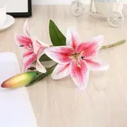 Single Blooms category