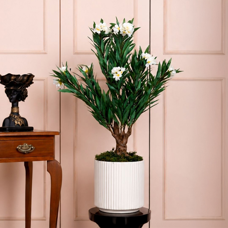 80 cm (2.6 ft) Bloom Oleander Artificial Plant Comes With a Black Plastic Pot (White)