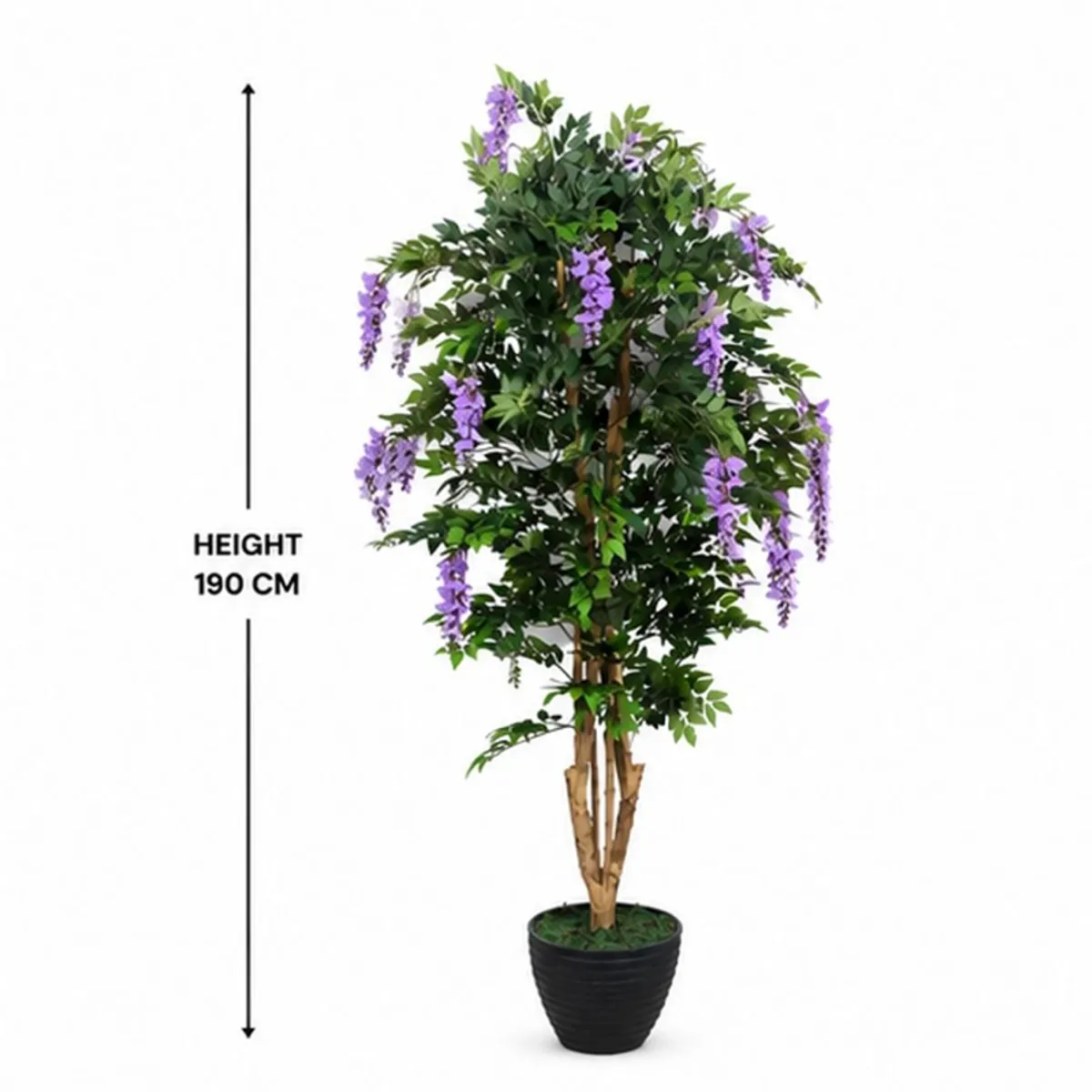 Artificial wisteria tree shown with a height marker and visible black pot