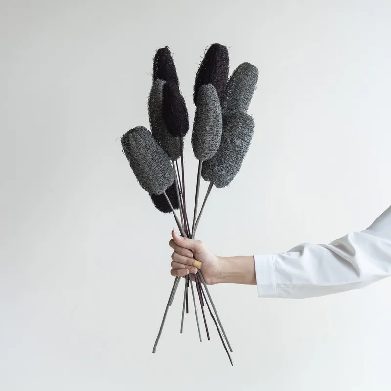Hand holding a bunch of black and grey dried luffah stems
