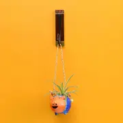 Planter combos category