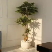 Artificial Plants category