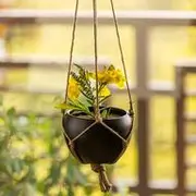 Hanging pot & Planters category