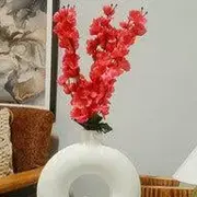 Cherry blossom category