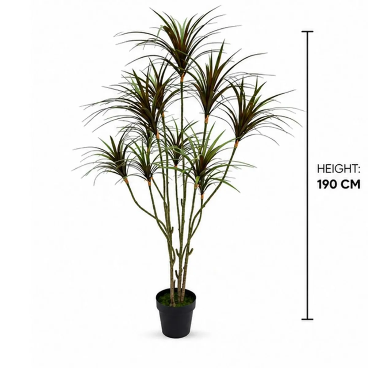 Full artificial Dracaena plant in a black pot with a 190 cm height marker
