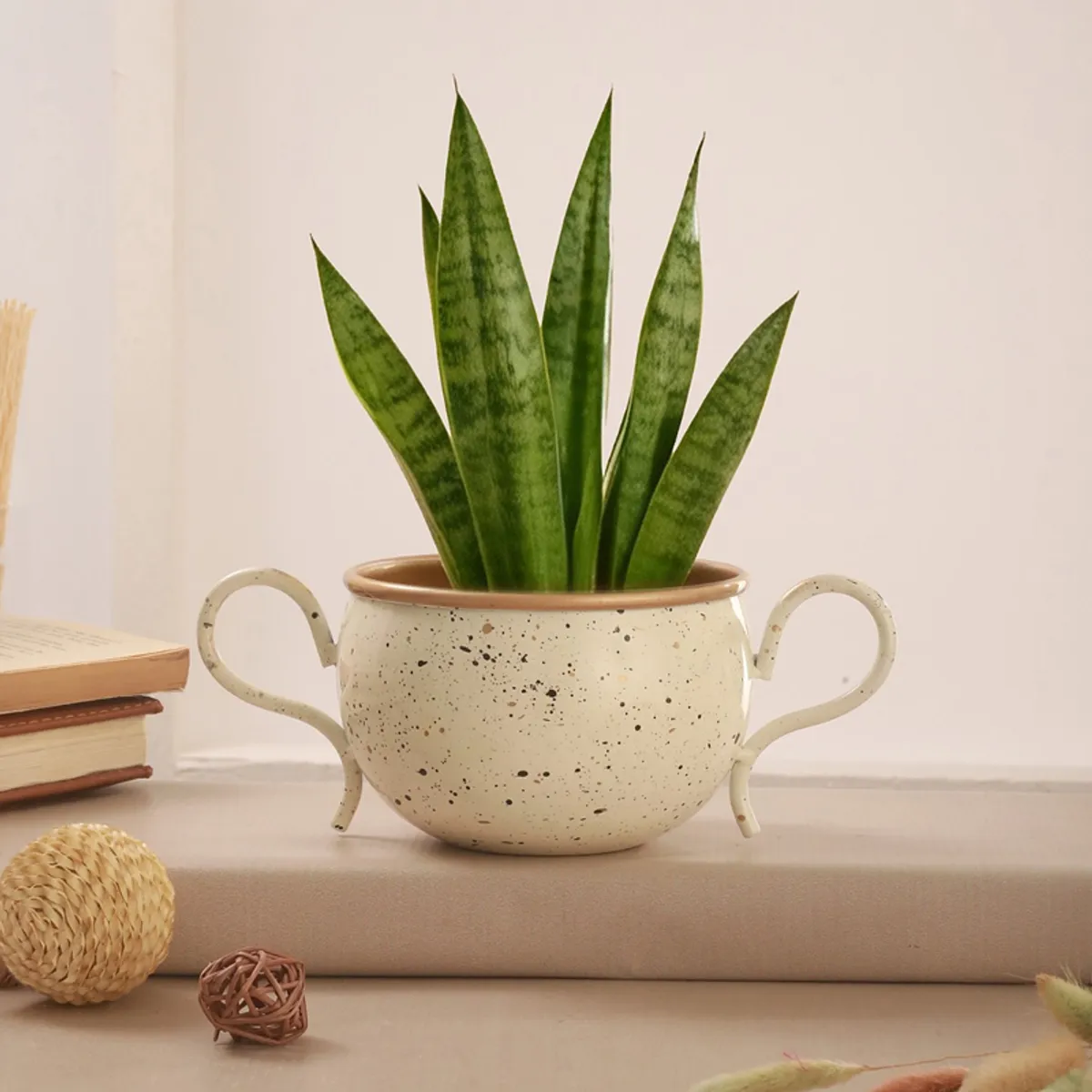 White handled planter holding a tall green plant against a neutral background