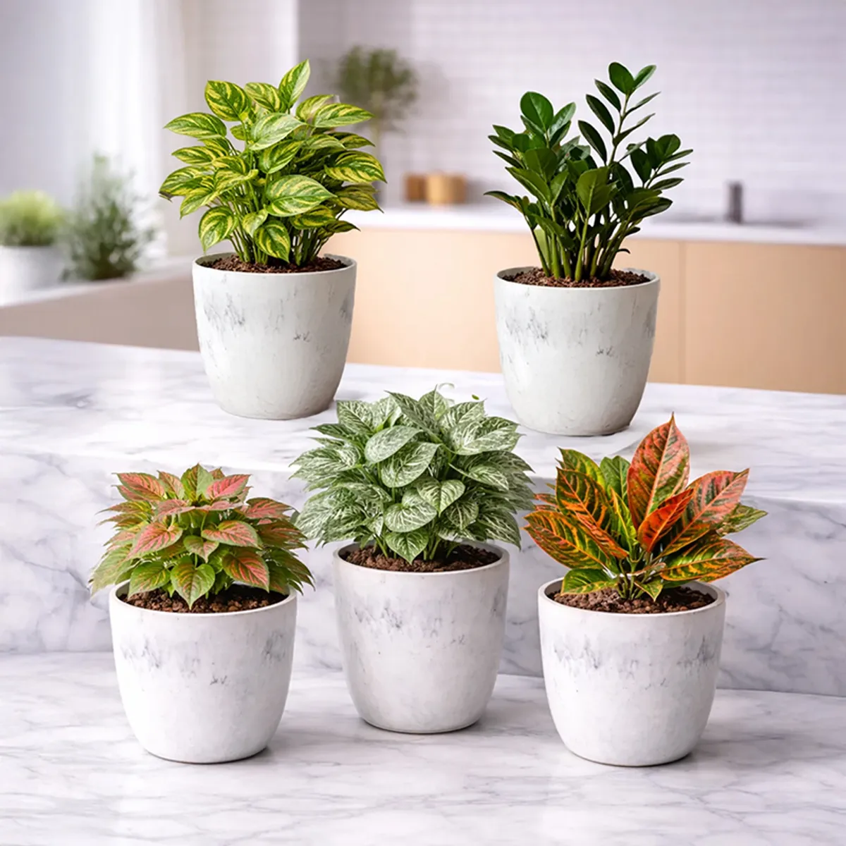 Five white matte planters with leafy plants arranged on a marble surface