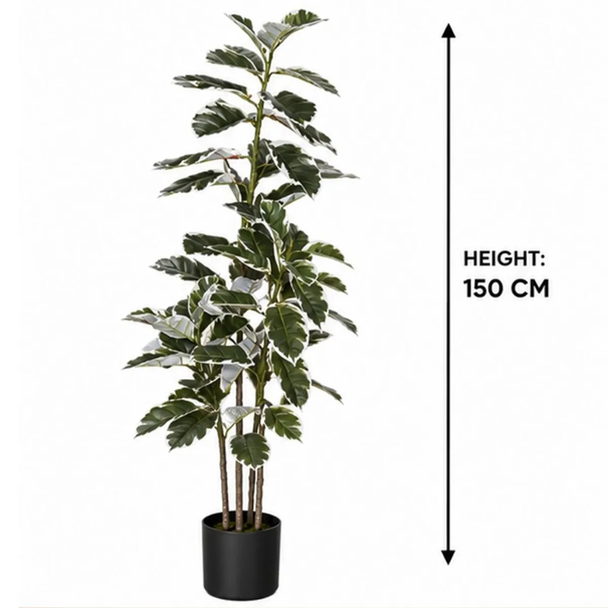 Full artificial rubber plant in a black pot shown with a 150 cm height reference.