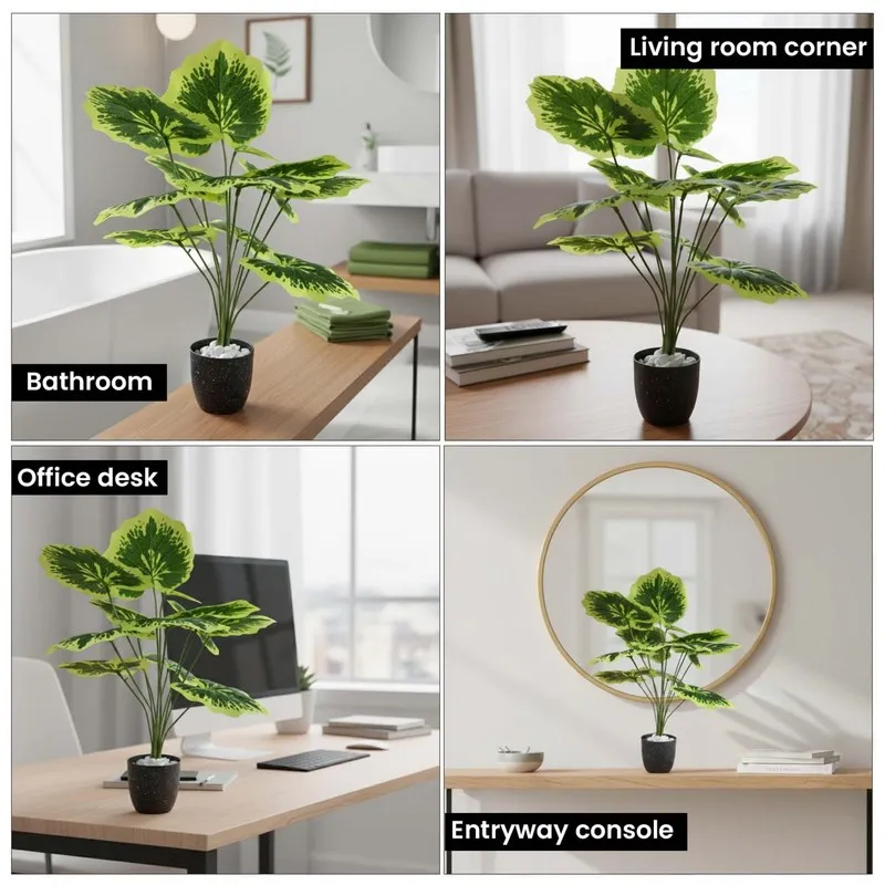 Faux plant shown in bathroom, living room, office and entryway settings.