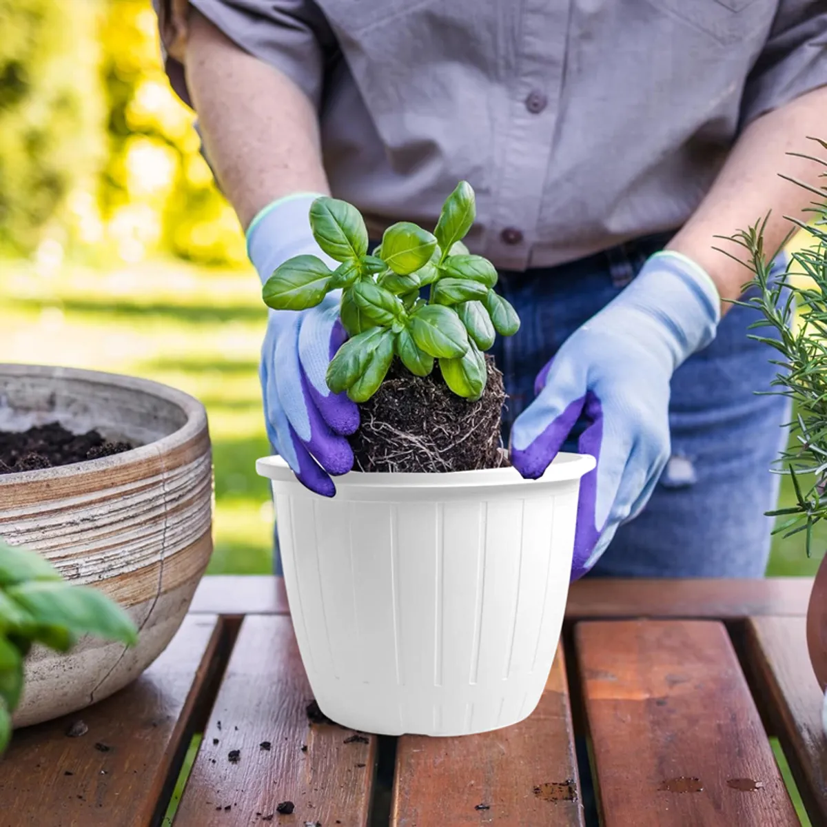 White planter with a green plant and matching tray in a bright indoor setting