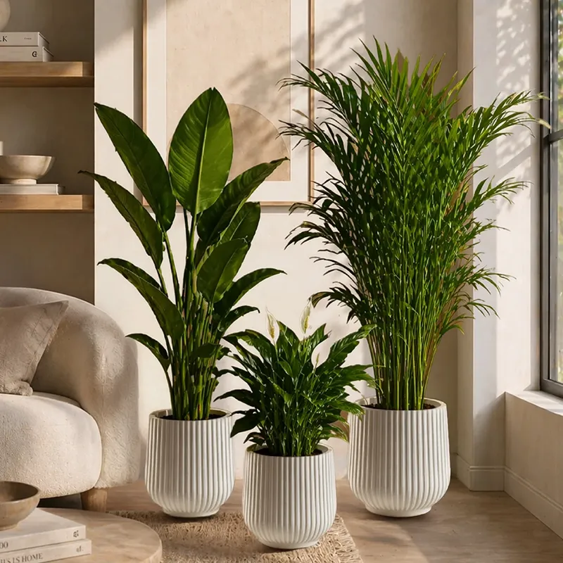 Three ribbed beige planters with green plants arranged beside a bright window.