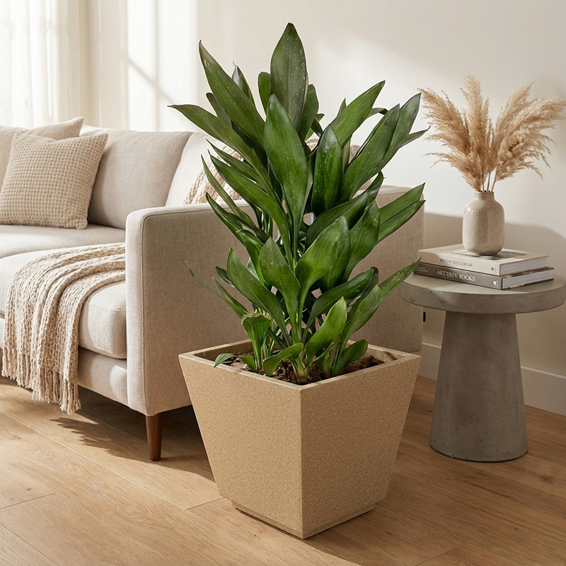 Succulent Charm Polymer Pots & Planters - Brown
