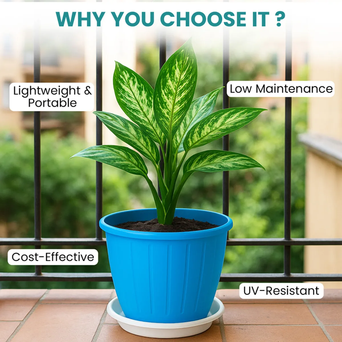 Blue planter with a leafy plant and white tray on a balcony
