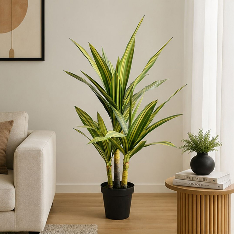 130 cm (4.3 ft) Leaf Luxe Artificial Dracaena Plant With Black Plastic Pot