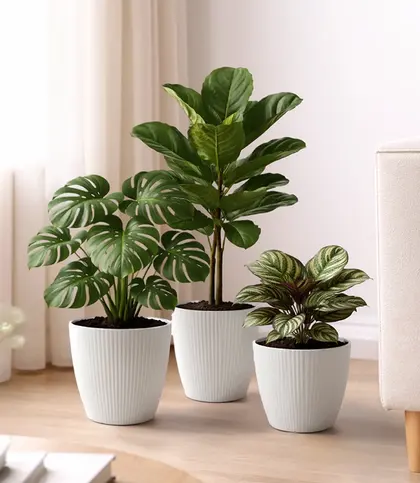 Melamine