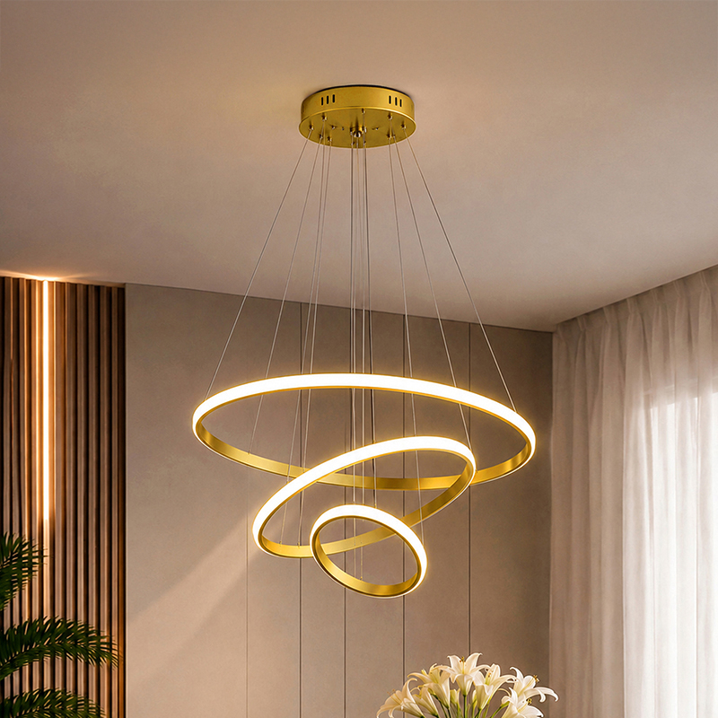 Elysian Loop Metal LED Ceiling Lamp