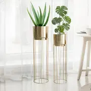 Planters Combos category