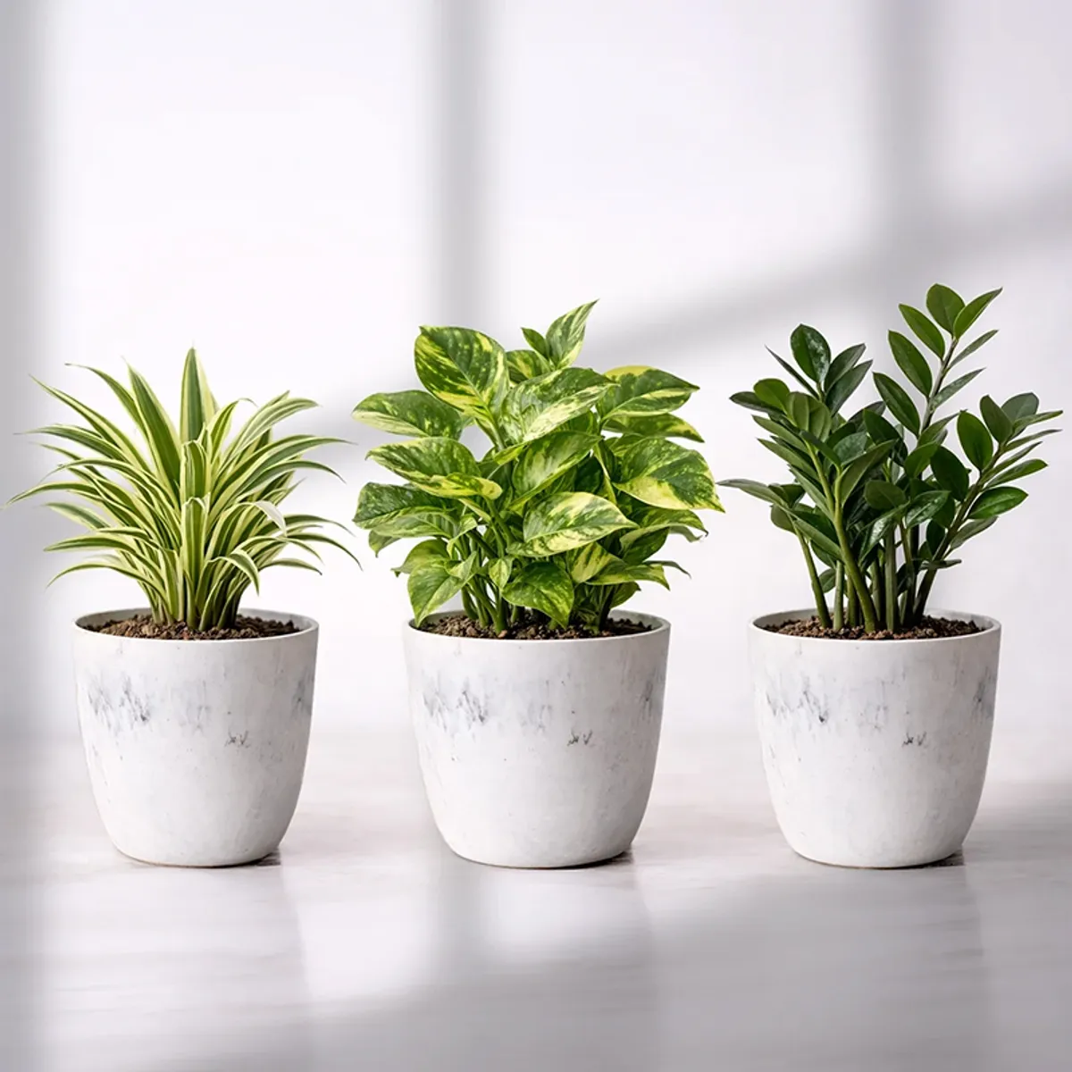 Set of three white matte planters with varied green plants against a plain backdrop