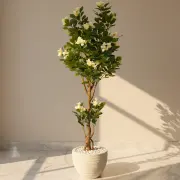 Large Plants category
