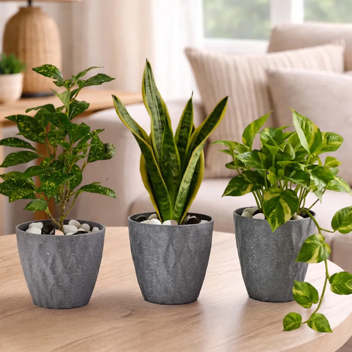 Three cylindrical grey planters styled together indoors