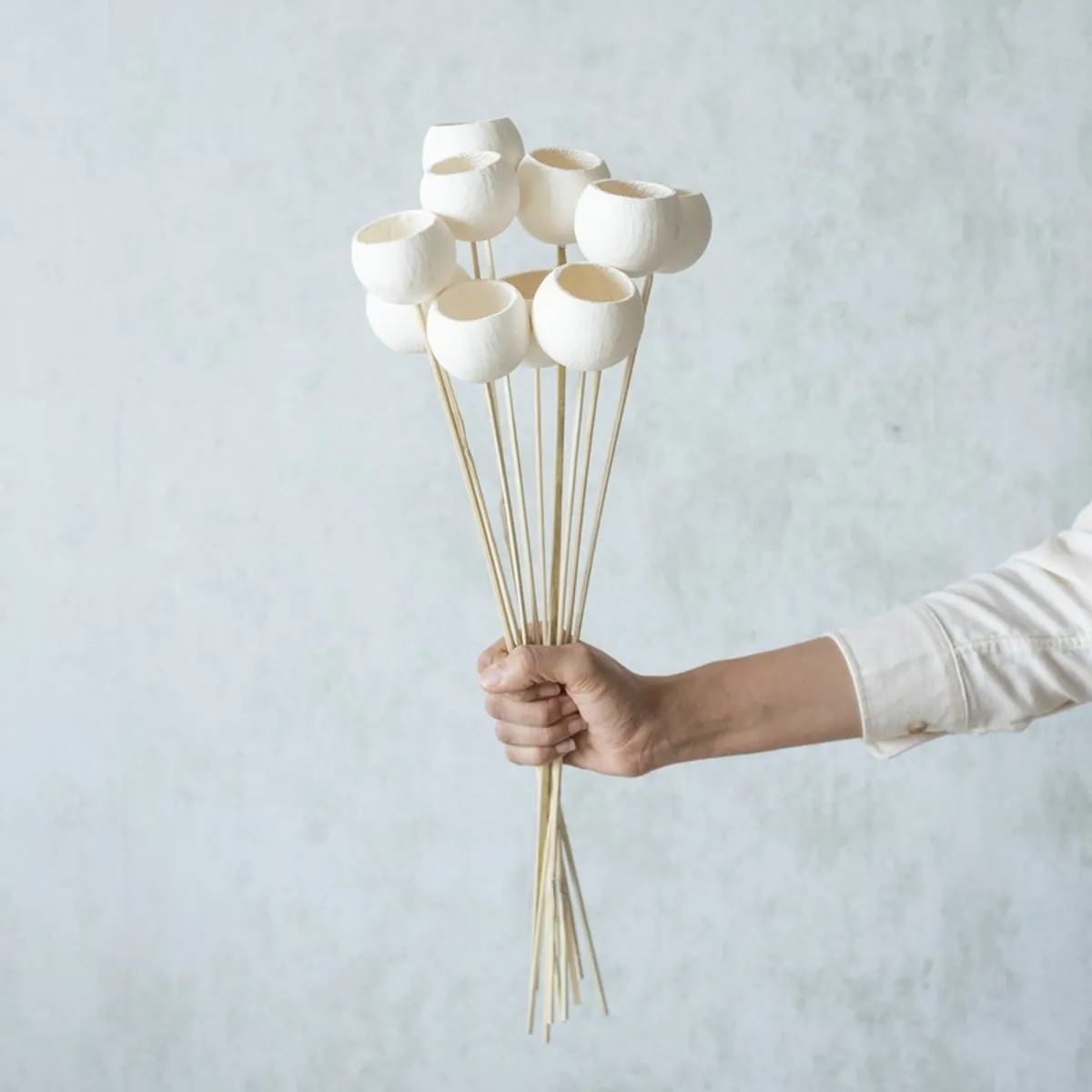 Hand holding a bundle of ten white bell cup dried flower stems