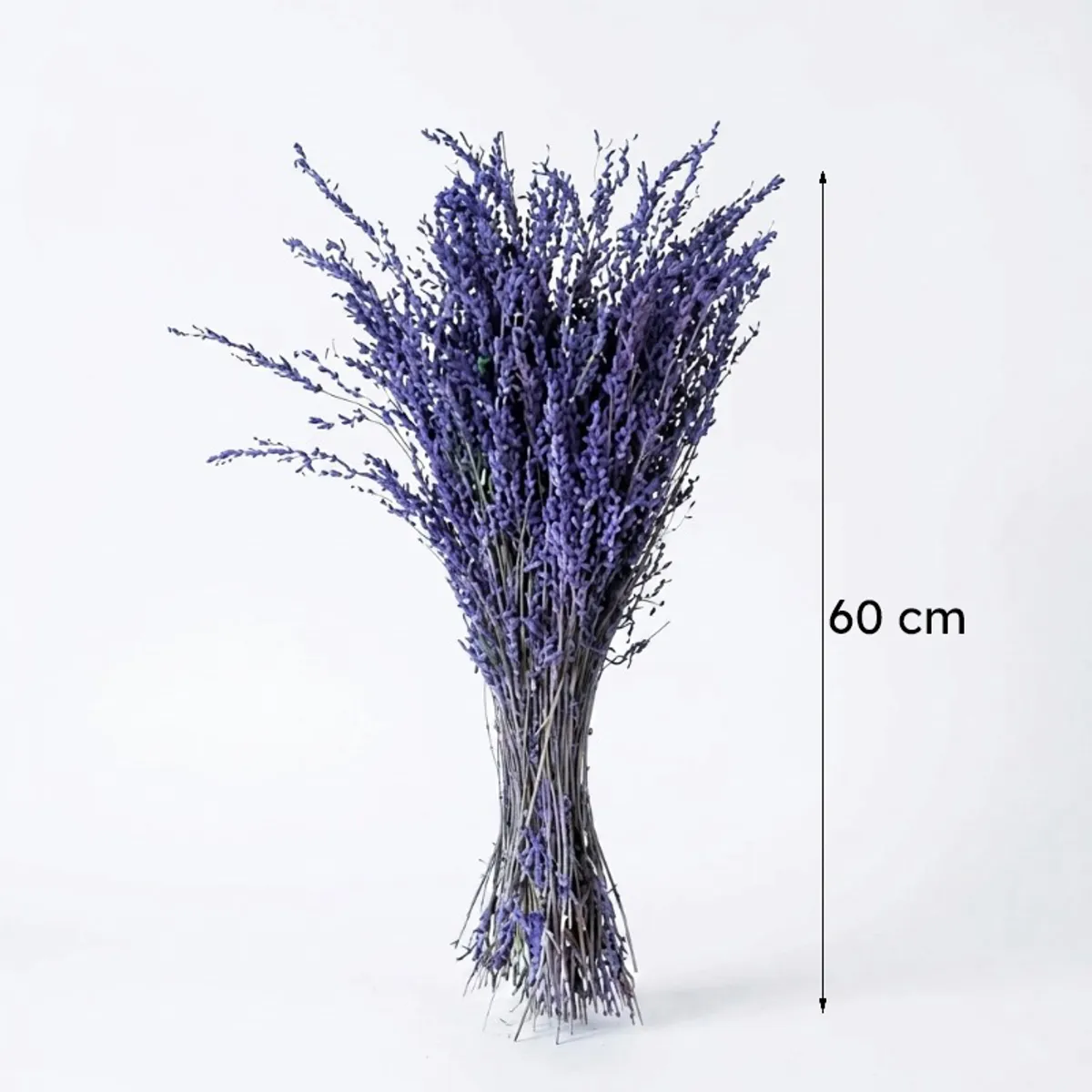 Purple dried flower bunch shown with a 60 cm height measurement