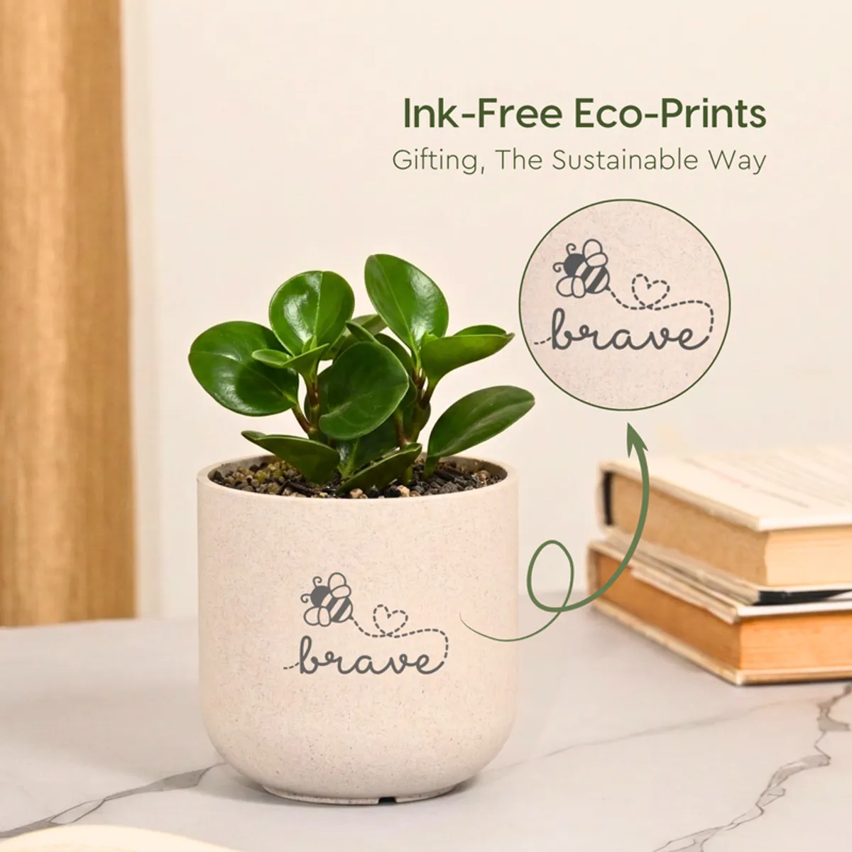 Single beige planter with a small green plant placed beside stacked books