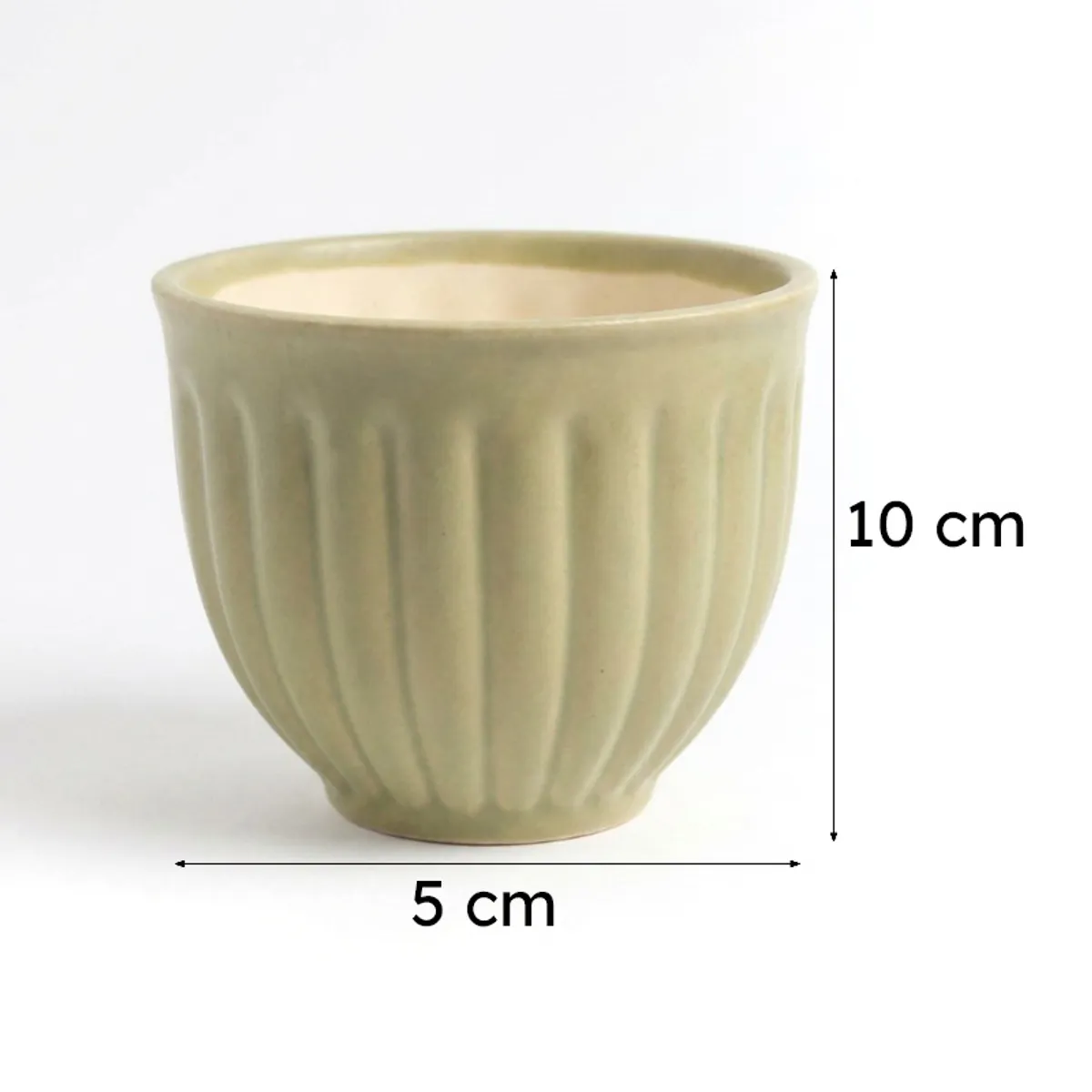 Green ribbed ceramic planter on a white background