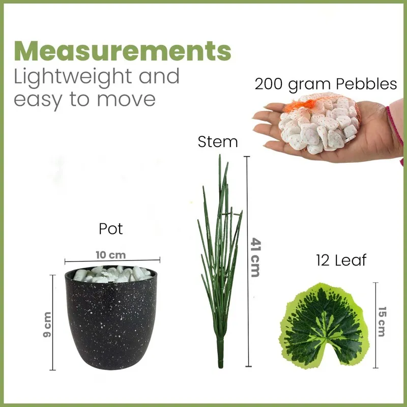 Product measurement graphic showing the faux plant, pot, leaves and pebbles.