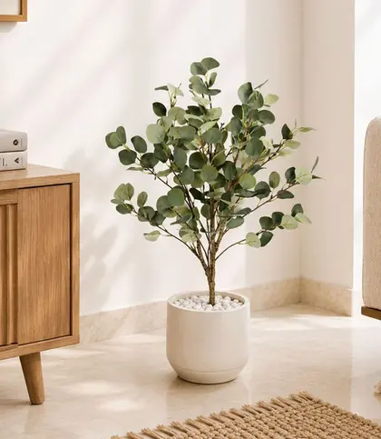 Polyester · PVC