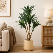 Medium Plants category