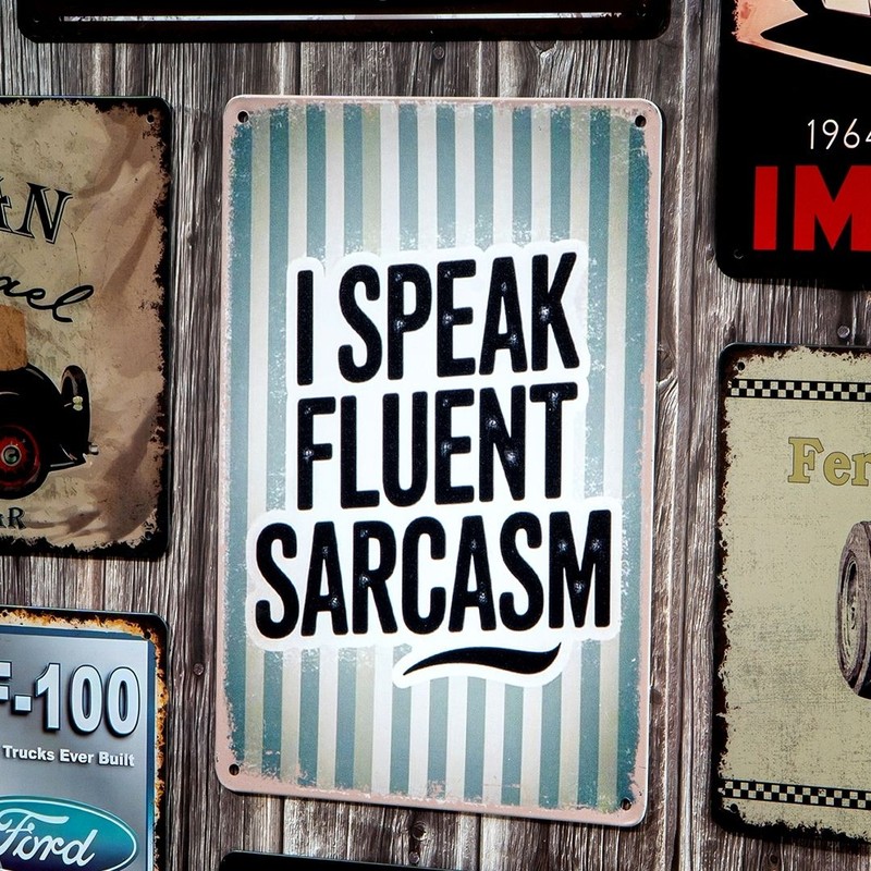 Fluent In Sarcasm Metal Wall Accent