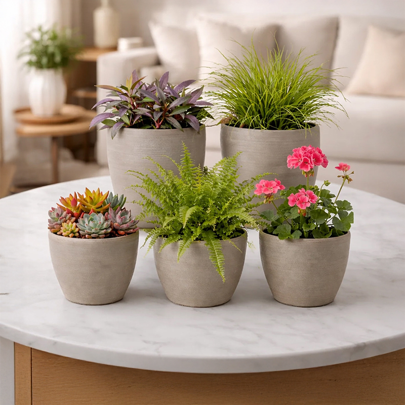 Set of Five